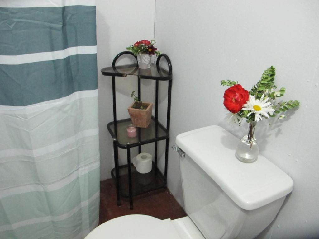 Habitaciones Centro Pucón Exterior foto